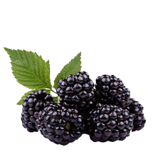 Blackberries 6oz